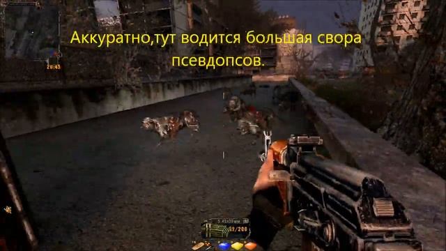 Сталкер Тайные тропы 2:Ящики для Соломона. смотреть онлайн