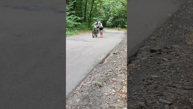 Киевская сотка 03.09.2023