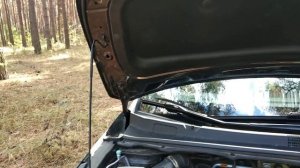 Ravon R 4  десять месяцев владения!Разочарование или радость?