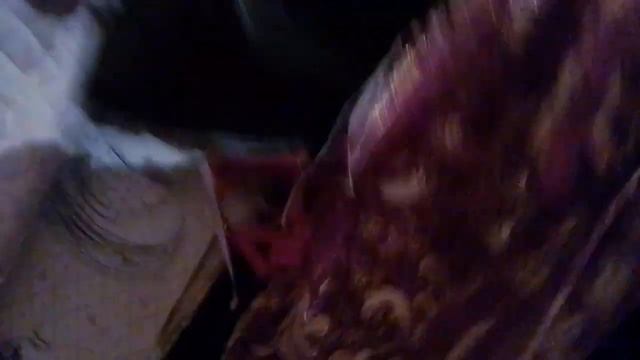 родители пьют смотреть онлайн