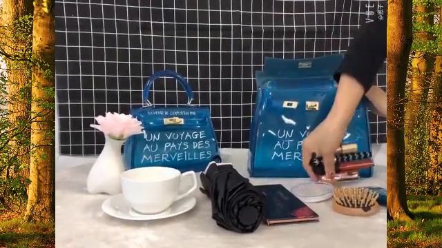 ТРЕНД СЕЗОНА\Женская сумка \Женские сумки на алиэкспресс\Ali Shop 12