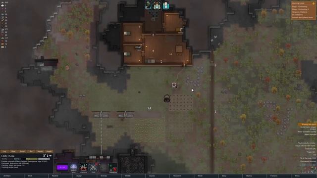 Rimworld Cult Of Madness: Cat Invasion! смотреть онлайн