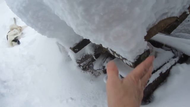Зима-январь - снег -лес-дорога - лодка -хаски смотреть онлайн