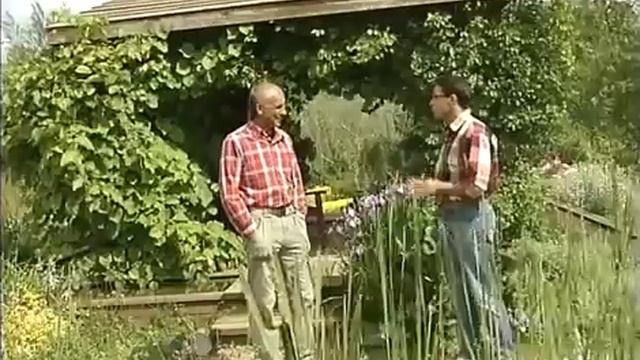 Строительство пруда и зимовка его обитателей смотреть онлайн