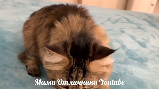 ?ПОЧЕМУ Я РЕКЛАМИРУЮ ВСЁ ?и ВСЕГДА! смотреть онлайн