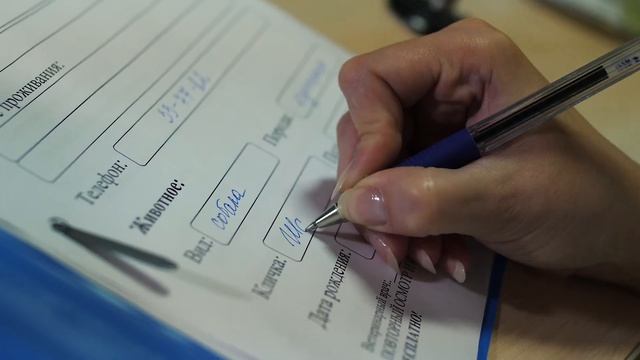 Клиника Ветеринар - лечебно-диагностический центр в Брянске смотреть онлайн