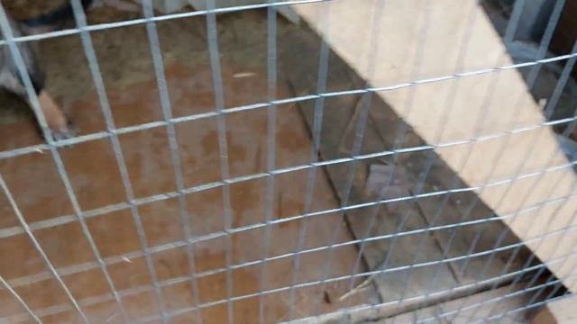 Влог:Купили Дом на Юге/Про нас - девчат/Ставрополь-Москва-Сахалин/Видео от Максима смотреть онлайн