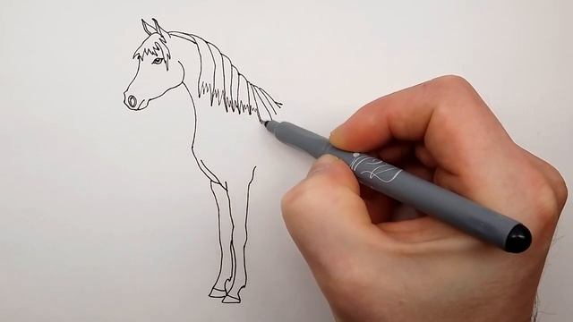 Как Нарисовать Лошадь поэтапно | Рисуем Лошадку смотреть онлайн