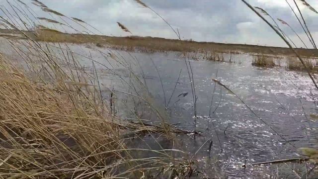 рыбалка,приехали, а тут такое смотреть онлайн