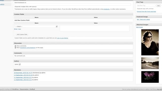 Attached Images Metabox - WordPress смотреть онлайн