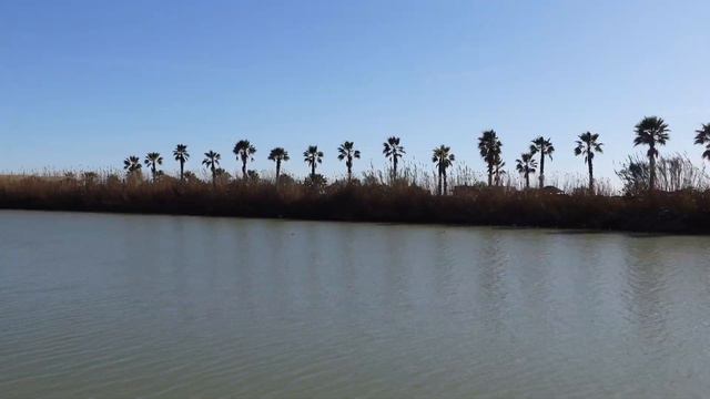 DOĞA VE LÜKS BİR ARADA! (Gloria Serenity Resort) смотреть онлайн
