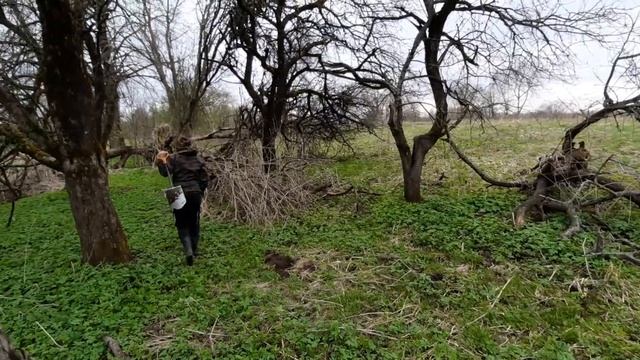 Апрельский поиск старины смотреть онлайн