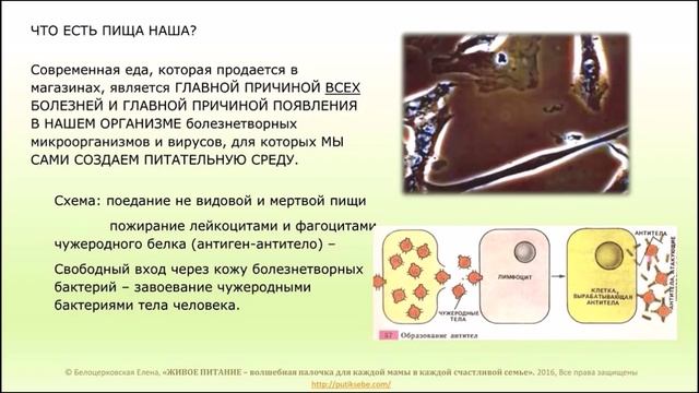 АОМ, Телесаммит-2 "ЖИВОЕ ПИТАНИЕ - волшебная палочка для каждой мамы" ( Е. Белоцерковская) смотреть онлайн