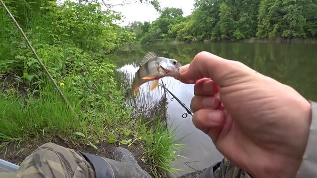 Рыбалка на реке на фидер 2020. смотреть онлайн