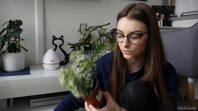 Robię sama LAS W SŁOIKU 🌿 смотреть онлайн