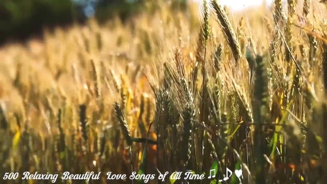 500 Romantic Love Songs 80's 90's 💖 Greatest Love Songs Collection 💖Best Love Songs Ever смотреть онлайн