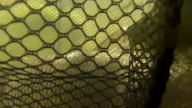 Ночная рыбалка на Ириклинском водохранилище смотреть онлайн