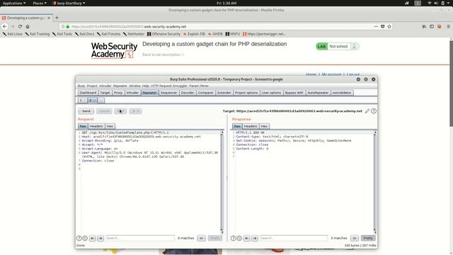 Developing a custom gadget chain for PHP deserialization смотреть онлайн