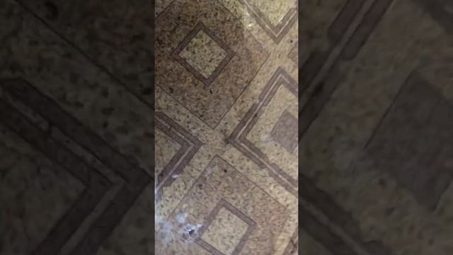 Эстима ремонт двс продолжается смотреть онлайн