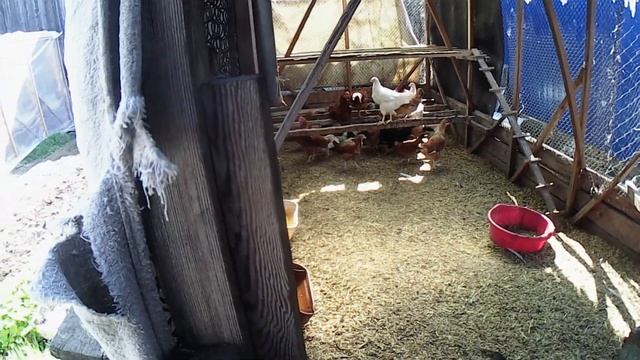 ТЕПЛИЦА СО СЪЕМНОЙ КРЫШЕЙ) смотреть онлайн