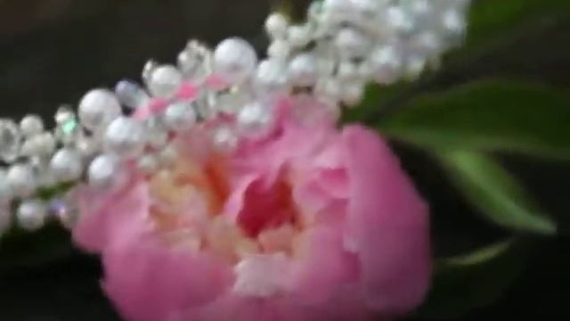 Свадебный ободочек смотреть онлайн