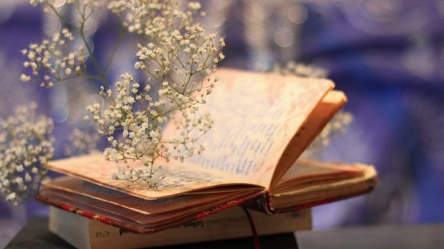 Презентация смотреть онлайн