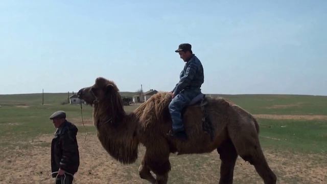 Природа в Центре Внимания