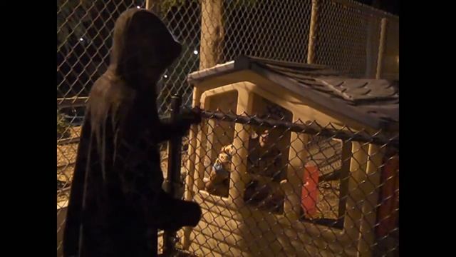 The Scarlet Game(Part 1) смотреть онлайн