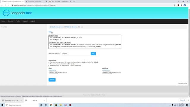 How To Install And Update Plugins For Your Minecraft Server