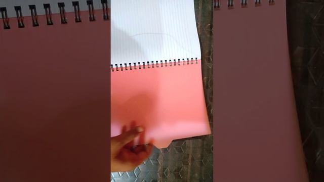 Luxer Premium Note Book Series Spirel 300pages@penstationeryadda4280