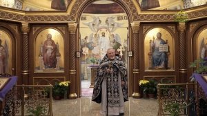 Подлинная свобода. Проповедь священника Георгия Полякова