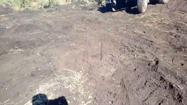 Прокладываем дорогу на мтз с лопатой смотреть онлайн