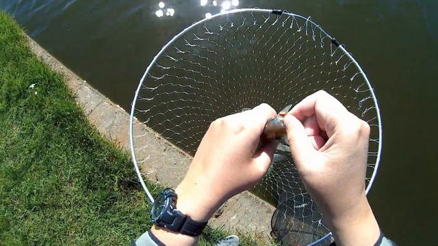 Форель на пикер смотреть онлайн