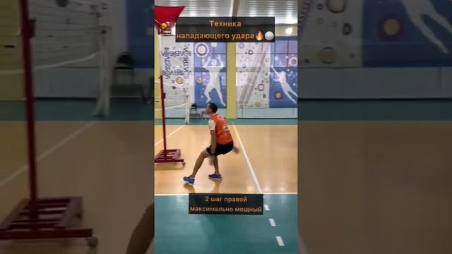 Техника нападающего удара ??#волейбол #volleyball #нападающийудар смотреть онлайн