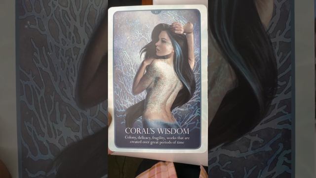 Oracle Deck Review ( Oracle of the Mermaids ) All Cards #oracle #oraclecards #oracledeckreview смотреть онлайн