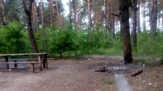 В краю кривых сосен 08 jun 2017 pab смотреть онлайн