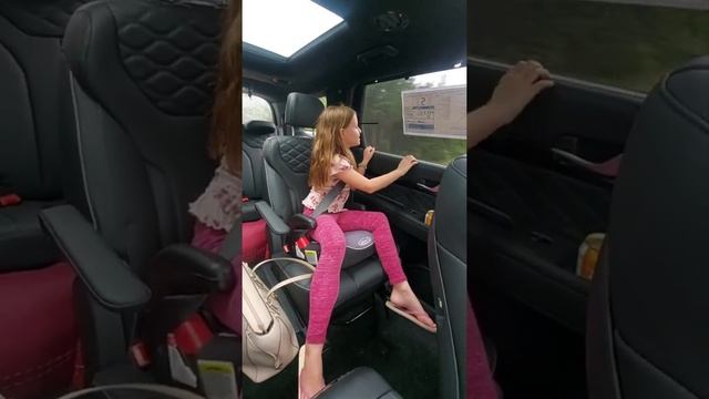 First Impressions: Princess in a Hyundai Palisade ✨️ смотреть онлайн