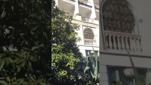 Сочи, Хостинский район, п. Хоста, ул. Шоссейная смотреть онлайн