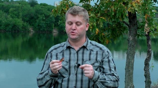 ТОП-3 лучшие БЛЕСНЫ для ловли ЩУКИ летом! Самые уловистые КОЛЕБАЛКИ смотреть онлайн