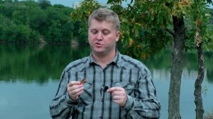 ТОП-3 лучшие БЛЕСНЫ для ловли ЩУКИ летом! Самые уловистые КОЛЕБАЛКИ