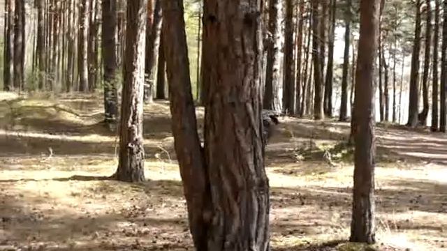 Татьяна осваивает мотоцикл)) И удачно)) смотреть онлайн
