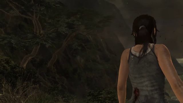 [Benchmark] Tomb Raider: Definitive Edition on GTX 780 смотреть онлайн