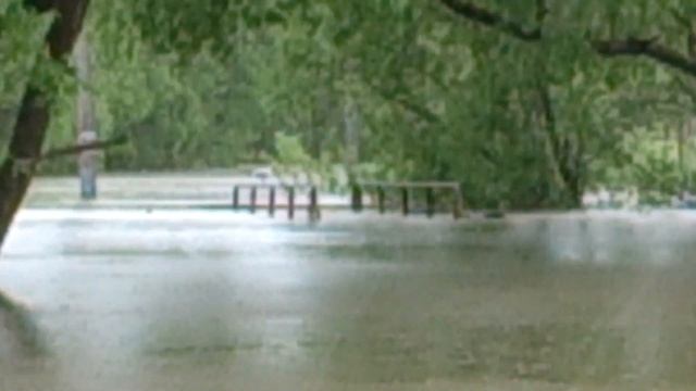 Белые утки и наводнение (потоп) в городе Мытищи