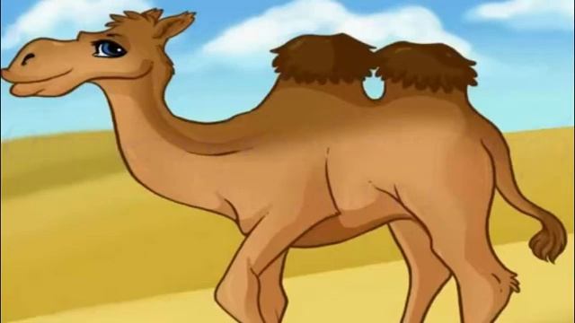 от чего у верблюда горб смотреть онлайн