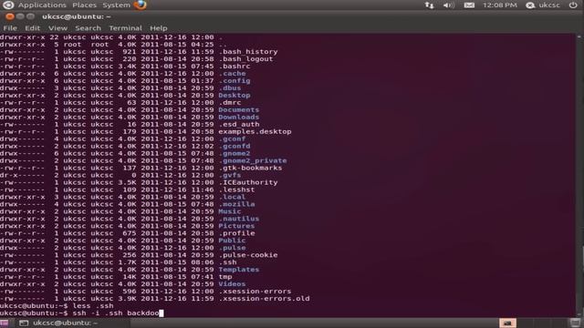 UKCSC Linux Forensics Challenge How To смотреть онлайн