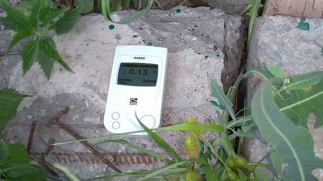 Дозиметр / Индикатор радиоактивности Radex RD1503+