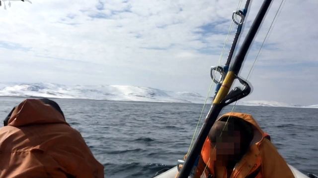Рыбалка в Баренцевом море. Ловля трески и зубатки в районе острова Кильдин. Стейк из трески. смотреть онлайн