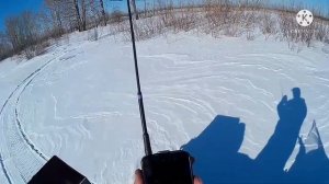 Hunter GPS 25000 PRO/Тест ошейника