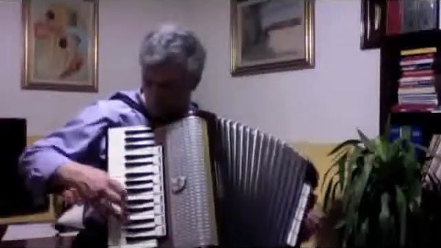 Fisarmonica Weltmeister 96 bassi смотреть онлайн