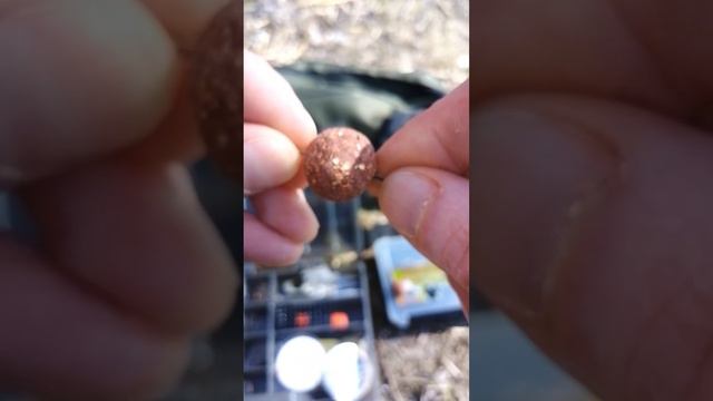 Оснастка для карповой ловли смотреть онлайн